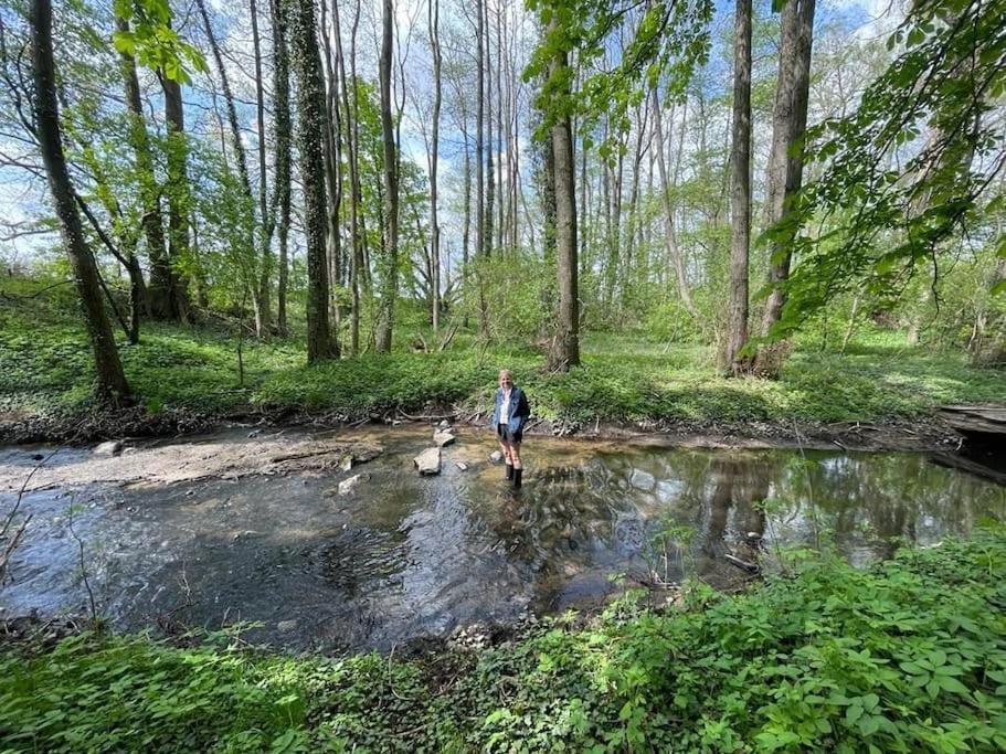 Wassermuehle Triglitz - Alleinlage Fuer Retreats, Workshops, Family & Friends Zewnętrze zdjęcie
